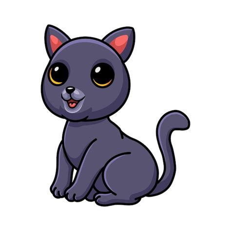 Sesión de dibujos animados lindo gato chartreux Vector Premium