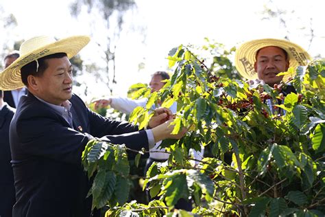 民生银行昆明分行助力乡村振兴 金融“活水”灌溉美丽乡村 新华网