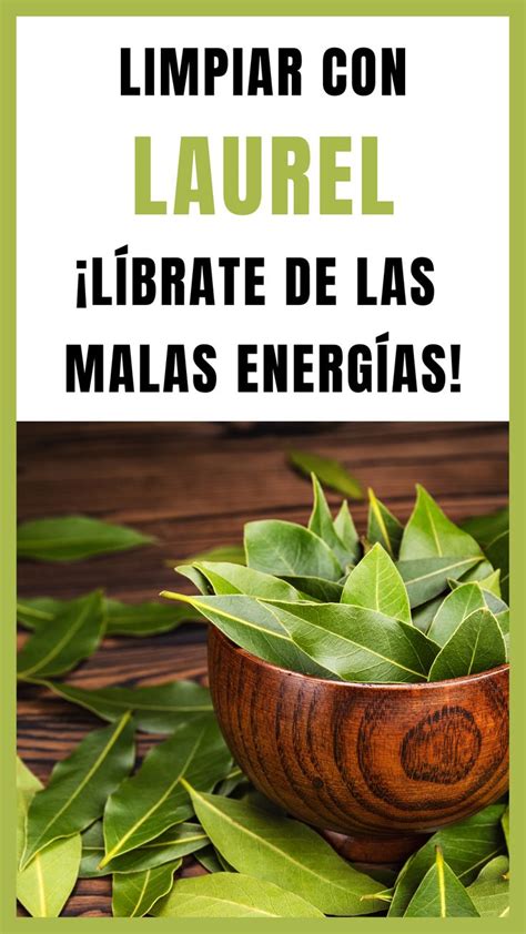 Limpieza energética con laurel ADIÓS MALA VIBRACIÓN Limpieza