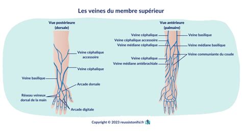 Guide Pratique De La Pose Dune Voie Veineuse P Riph Rique