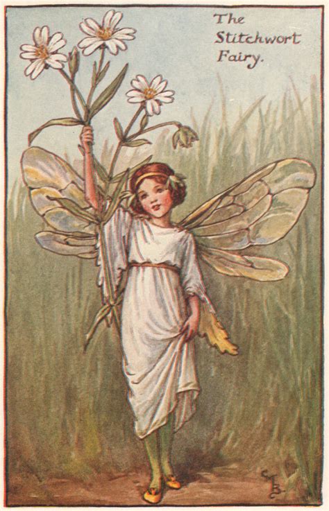 Stitchwort Fairy By Cicely Mary Barker Spring Flower Fairies C1935 Old