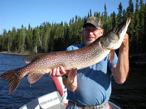 Portage Lake Remote Fishing & Boating Trips in Ontario | Woman River Camp