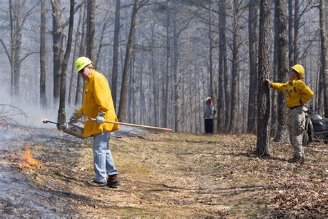 Mdc And Mpfc Ask Those Doing Prescribed Burns To “log Your Burn” Missouri Department Of