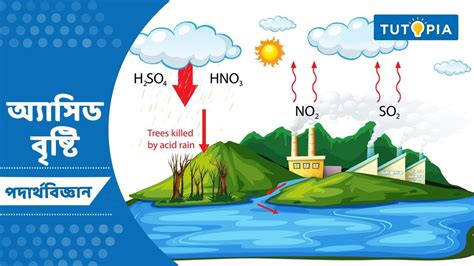 অ্যাসিড বৃষ্টি Acid Rain Acid Base And Salt Wbbse Physcial Science Class 9 Tutopia Learning