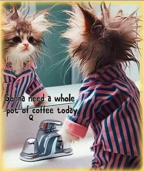 Pin By MARTHA WALTMAN On COFFEE In 2024 Funny Coffee Quotes Funny