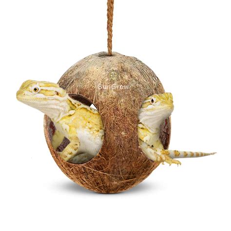 Buy Sungrow Leopard Gecko Coco Hut Gecko Climbing Accessories Raw