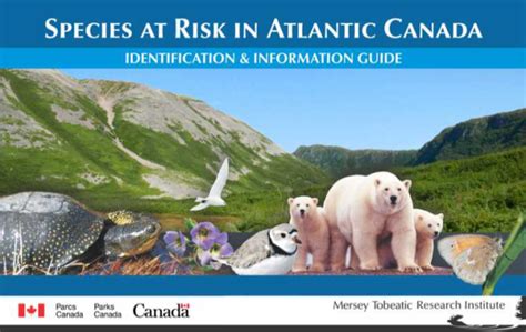 Species At Risk In Atlantic Canada