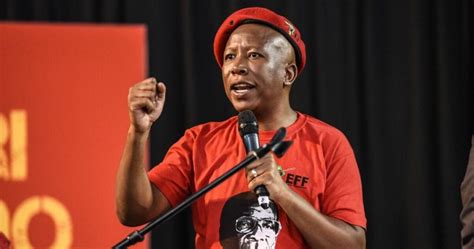 Watch Julius Malema Urges Zimbabweans To Go Home And Vote Zanu Pf Out