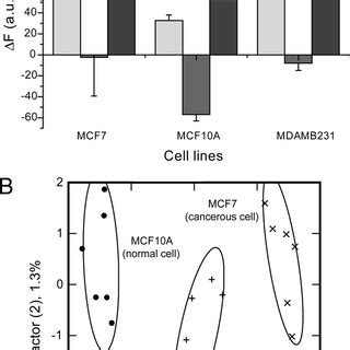 Detection Of Normal Cancerous And Metastatic Human Breast Cells A