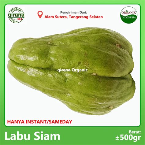 Jual Labu Siam Organic Pcs G Indonesia Shopee Indonesia