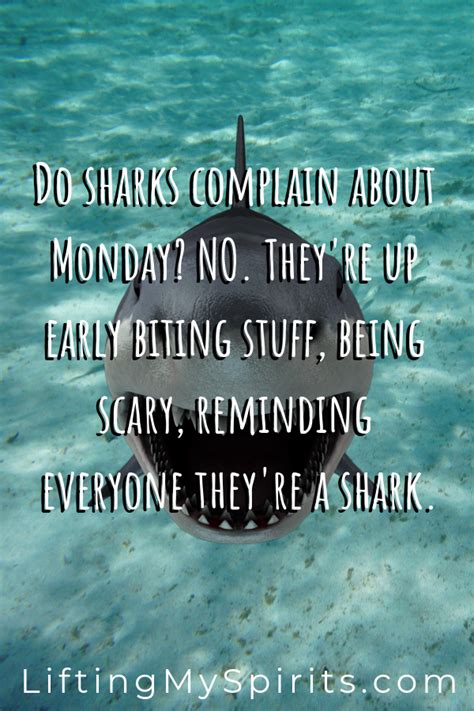 Do Sharks Complain About Monday Motivational Quotes Weekday Quotes