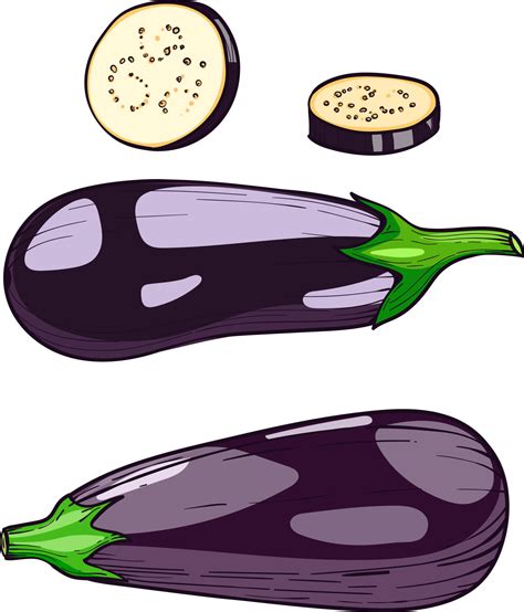 Eggplant Vegetable Vector Hand Drawn Illustration Hand Drawn Sketch