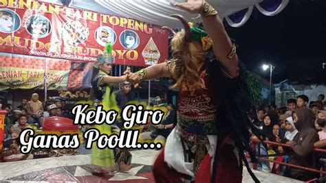 Kebo Giro Geger Geden Mudo Budoyo Singkir Wonosobo YouTube