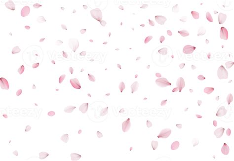 pétalos de flores voladoras 11236087 PNG