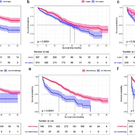 Kaplan Meier Survival Curves Of Metastatic Her2 Positive Breast Cancer