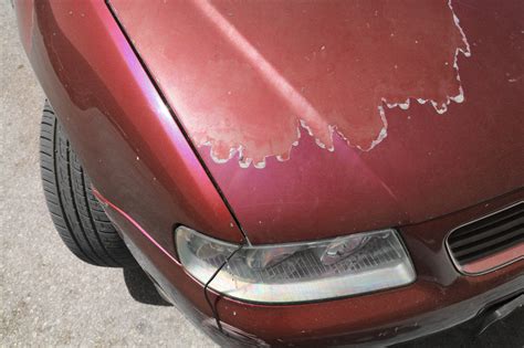 Why Is My Car Paint Peeling Solutions And Prevention Tips In The