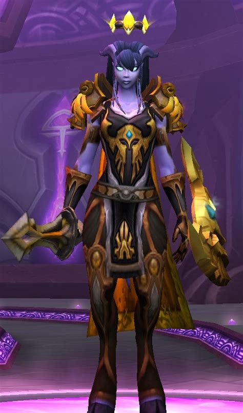 my holy paladin transmog! : r/Transmogrification