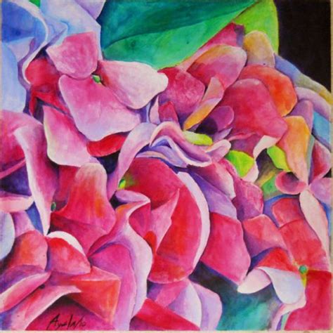 Hortensia Colorida Jose Miguel Ayala Valdivieso Artelista