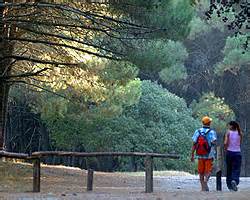 Parque Miguel Lillo - Necochea - Paseos y Excursiones