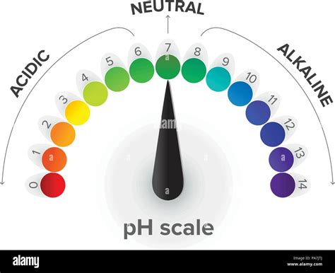 Medici N De La Escala De Ph Man Metro Infograf A Ph Es Una Escala