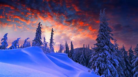 Winter Sunrise Wallpapers 4k Hd Winter Sunrise Backgrounds On Wallpaperbat