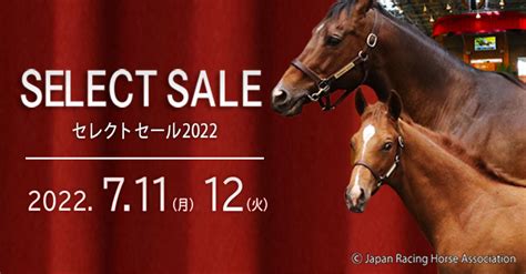 注目の種牡馬紹介｜セレクトセール2022特集｜競馬情報ならjra Van