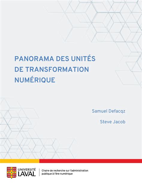 PDF Panorama des unités de transformation numérique