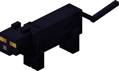 What S The Deal With Black Cats Minecraft