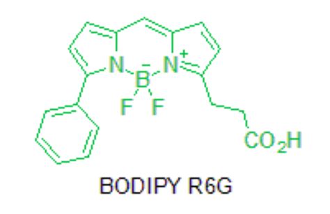 星戈瑞 BODIPY硼二吡咯荧光染料 BODIPY FL BODIPY R6G