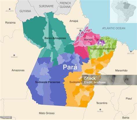 Vetores De Mapa Administrativo Do Estado Do Pará Mostra Municípios Coloridos Por Regiões