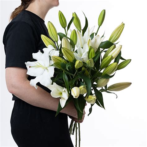 Oriental Lilies Flora Blume