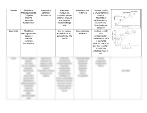 Solution Cuadro Biomec Nica De Los Tejidos Studypool