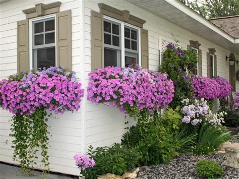 6 Ways To Get Instant Curb Appeal For Less Than 100 Window Box