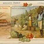 FASCINATING FACT Sex Drugs Lies Or Contraband How Did Coffee Really Spread To The World