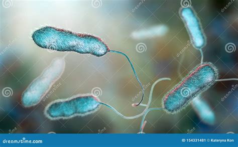 Legionella Pneumophila Bacterium, the Causative Agent of Legionnaire`s Disease Stock ...