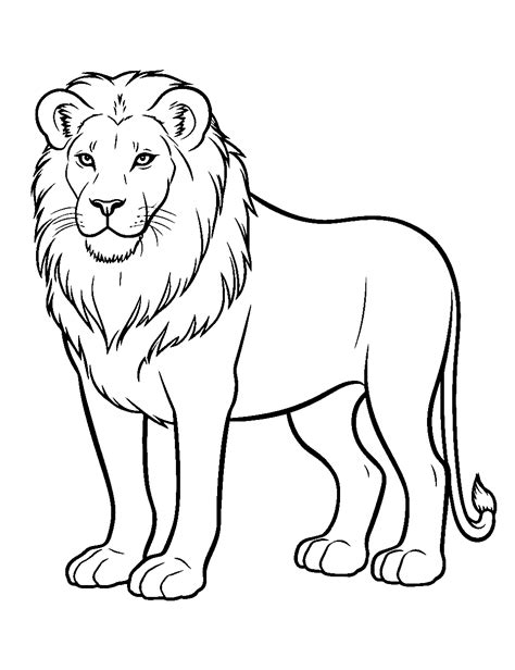 25 Lion Coloring Pages Printable Free Sheets