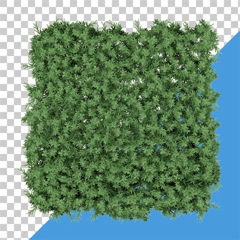 Premium Psd Shrub Grass Field Top View 3d Rendering