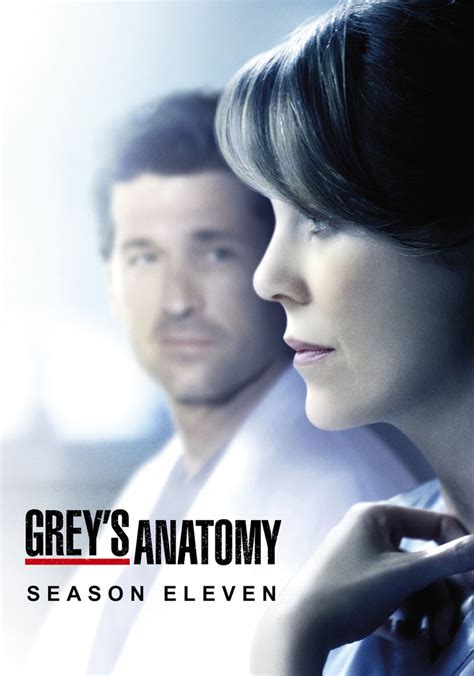 Greys Anatomy Stagione 11 Streaming Online