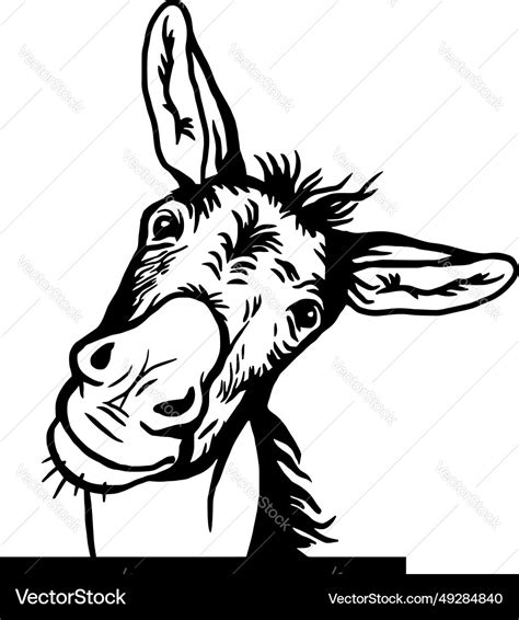 Donkey Face Vector Images (over 1,300)