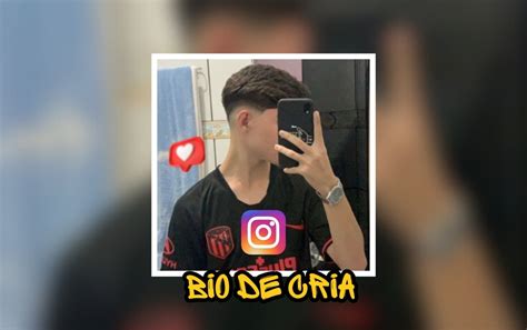 Frases Para Biografia Do Instagram 100 MELHORES