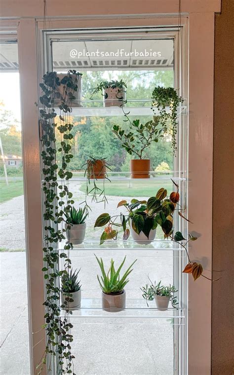 Acrylic Plant Shelf Window Shelf For Plants Plant Shelves Window Plants