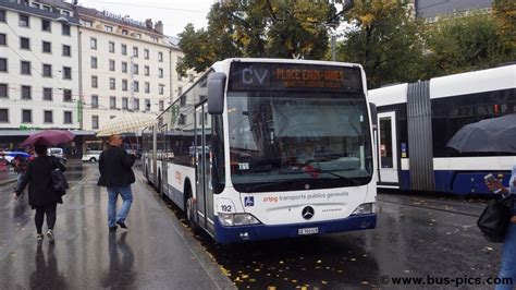 Gare Cornavin Ligne Cv Tpg Bus Pictures