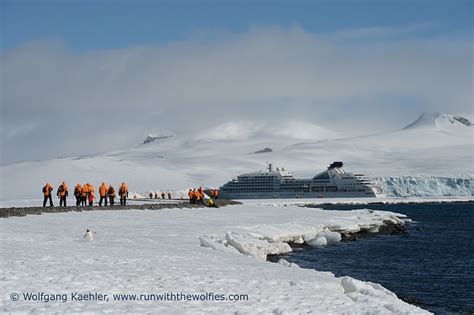 Antarctica on the Seabourn Quest Day 7 - Yankee Harbour, Greenwich ...