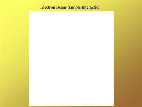 The Tem System And Components Vacuum Subsystem Electron