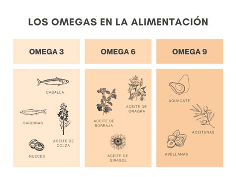 Descubre Los Diferentes Tipos De Omegas Guía Completa Y Actualizada ︎