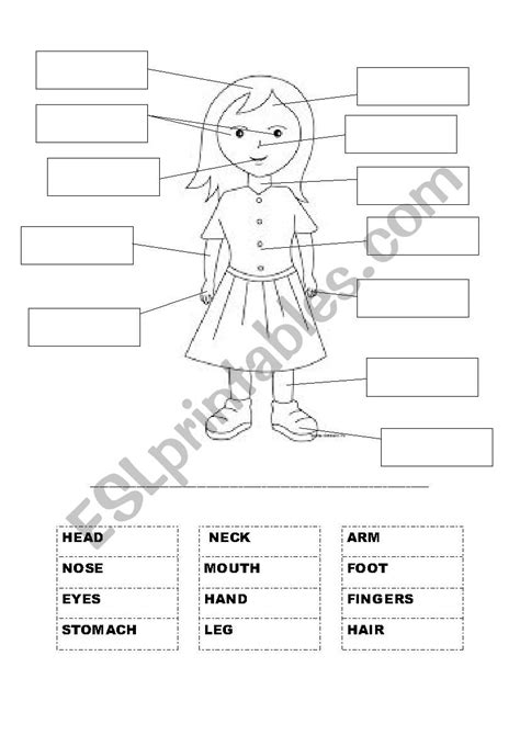 Label Body Parts Esl Worksheet By Nanamouallem