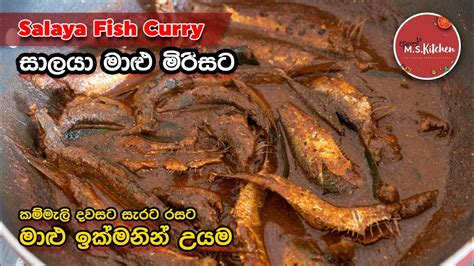 සාලායා මාළු මිරිසට ඉක්මනින් උයමු How To Make Salaya Fish Curry By Ape