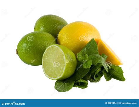 Limes And Lemons Stock Photo Image Of Food Slice Nutrition 8909494