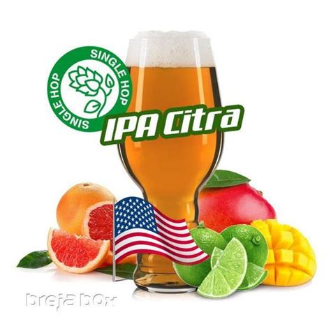 Ipa Single Citra Kit Receita Breja Box Kit Para Preparo De Cerveja