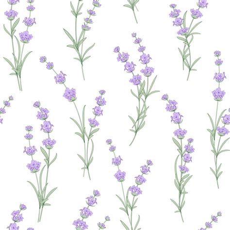 Premium Vector Seamless Pattern Of Lavender Flower